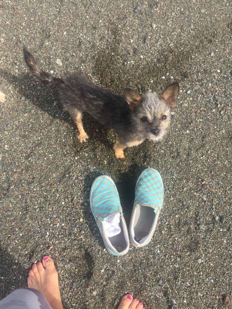 Pinch on the Beach in Cayucos