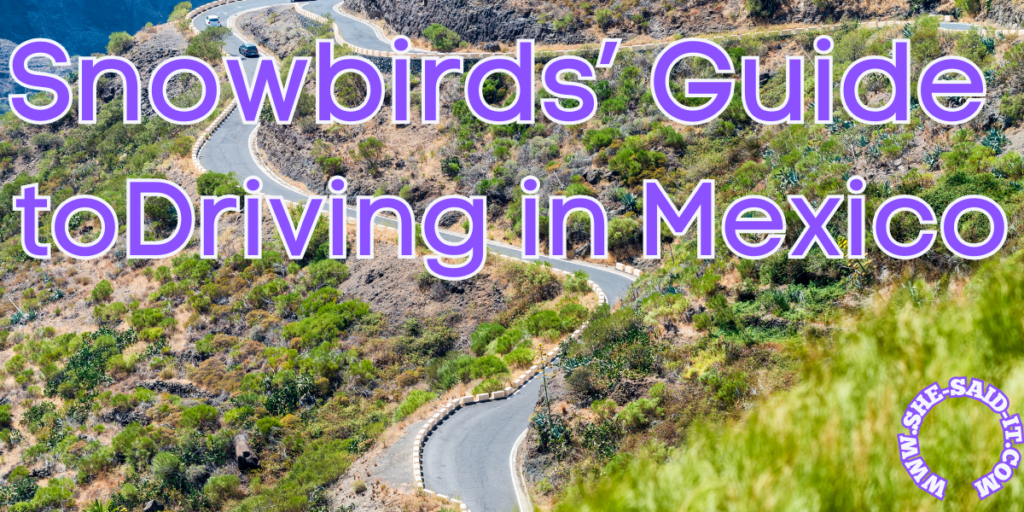 Snowbirds' Guide to Driving in Mexico