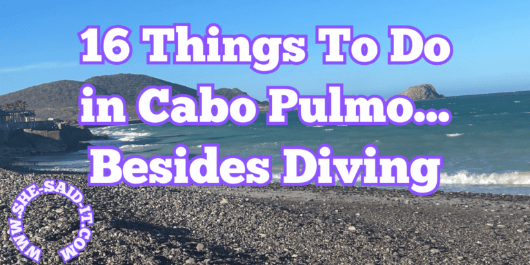 16 Things To Do in Cabo Pulmo Besides Diving