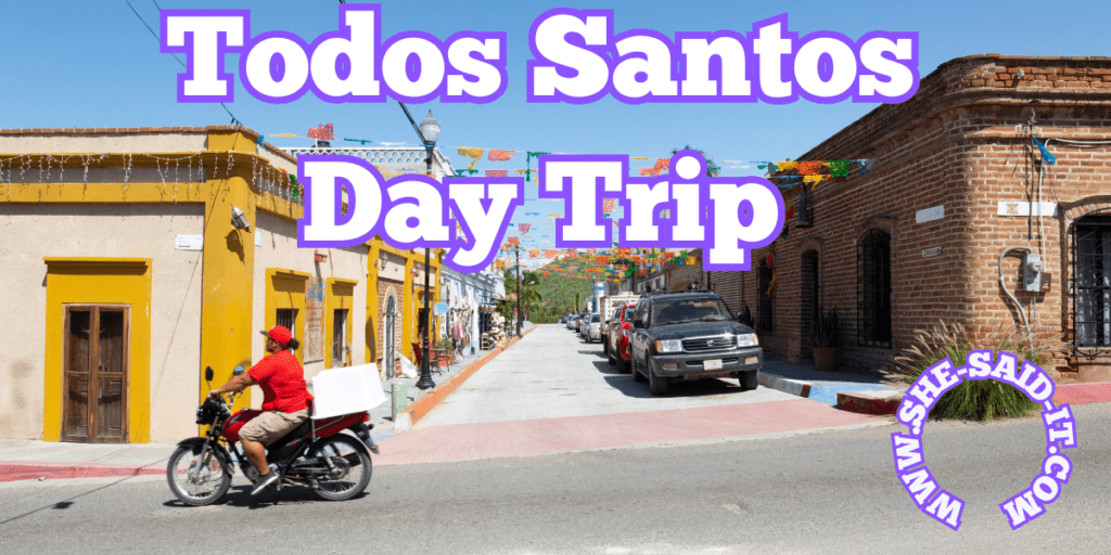 ultimate todos santos day trip itinerary