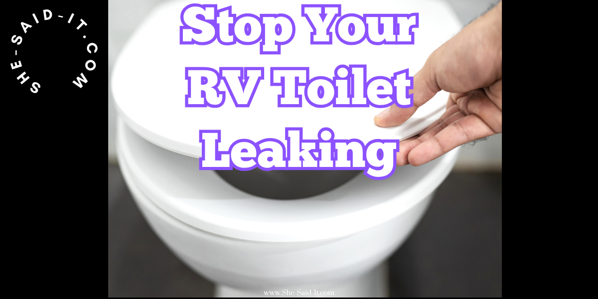 RV toilet valve leaking